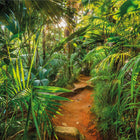 Komar Fototapete Jungle Trail 368×254 Cm