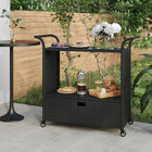 Barwagen Mit Schublade 100X45X97 Cm Poly Rattan - Moebelbox24.de